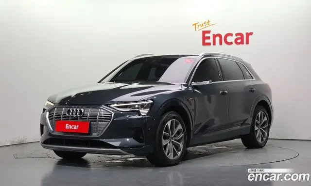 Audi e-tron, 2020, 101 219 км