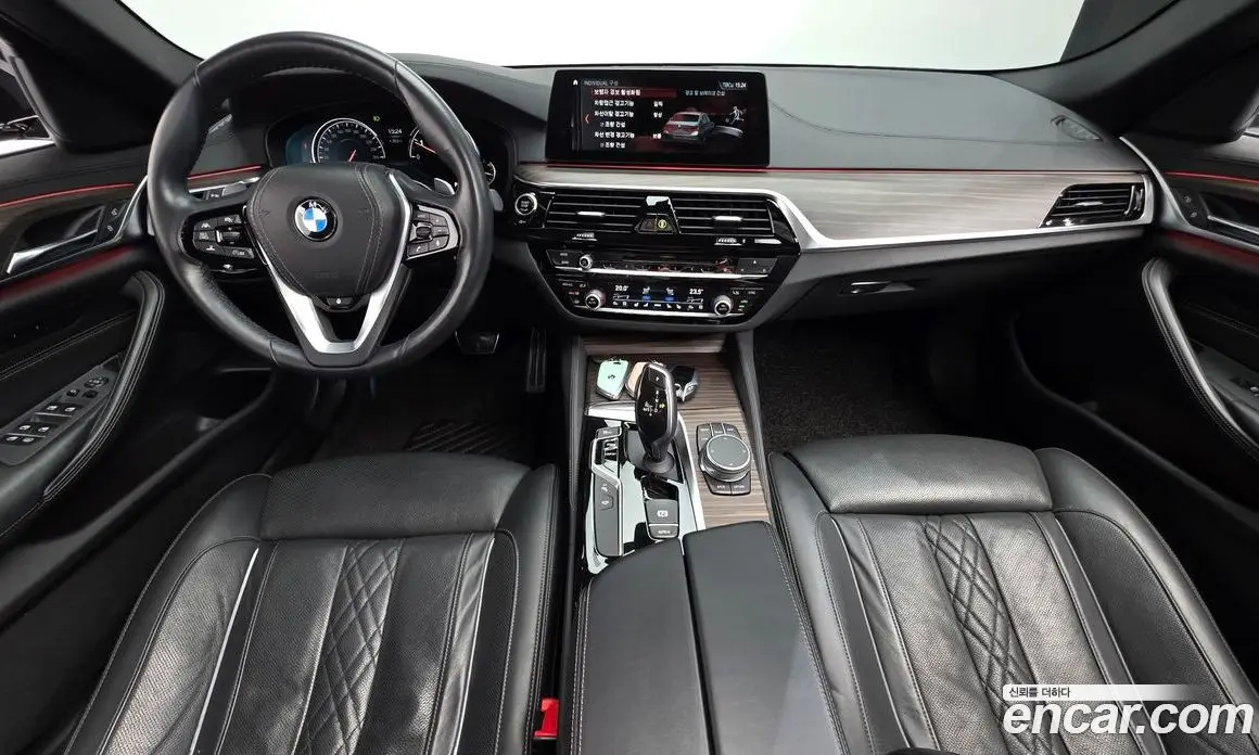 BMW 5 серия 2018 2.0 автомат (гидро), фото 10