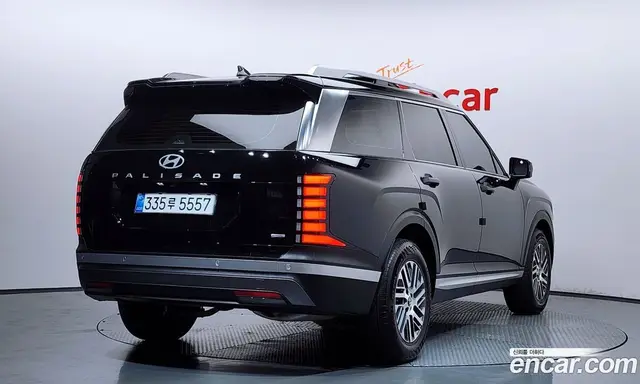 Hyundai Palisade 2025 2.5 автомат (гидро), миниатюра 2 Hyundai Palisade 2025 2.5 автомат (гидро), миниатюра 2