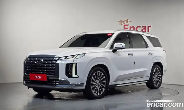 Hyundai Palisade, 2023, 41 500 км
