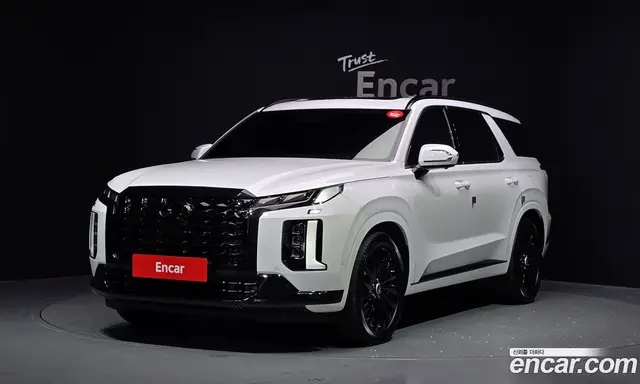 Hyundai Palisade, 2024, 29 332 км