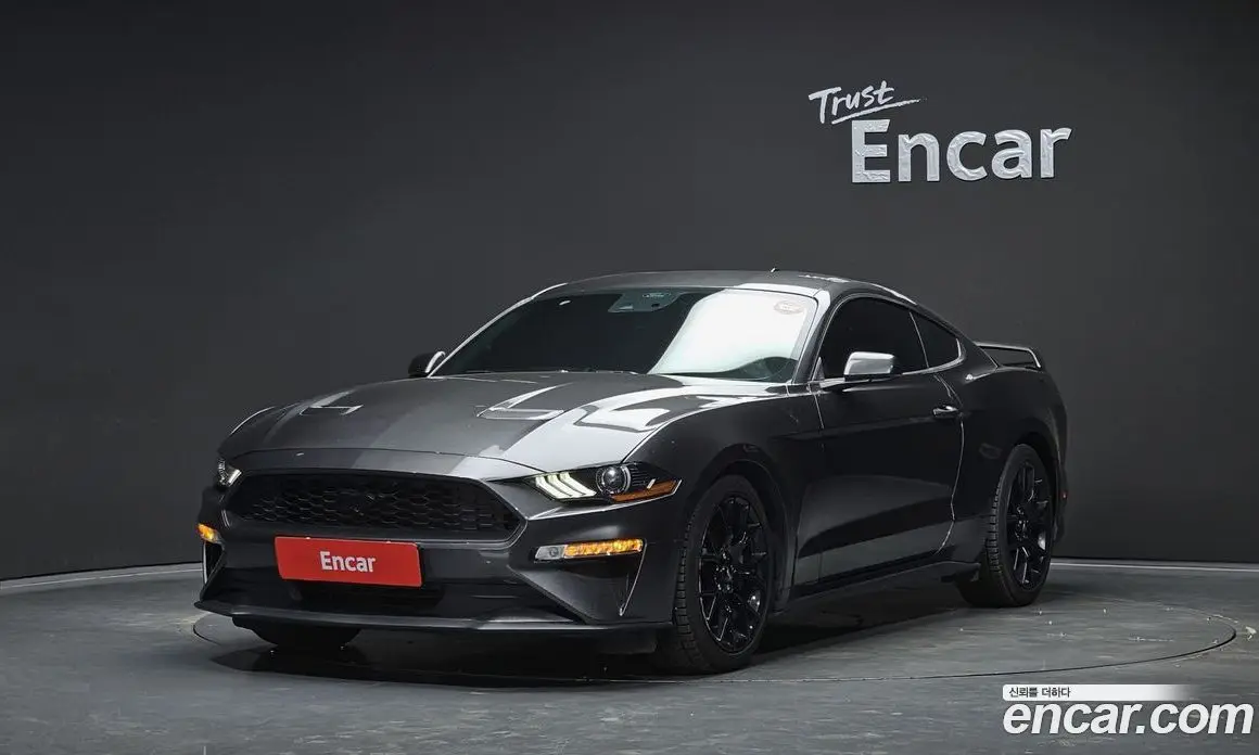 Ford Mustang 2020 2.3 автомат (гидро), фото 1 Ford Mustang 2020 2.3 автомат (гидро), фото 1