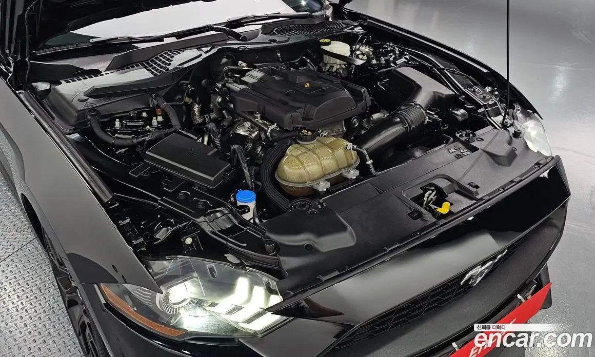Ford Mustang 2021 2.3 автомат (гидро), фото 6