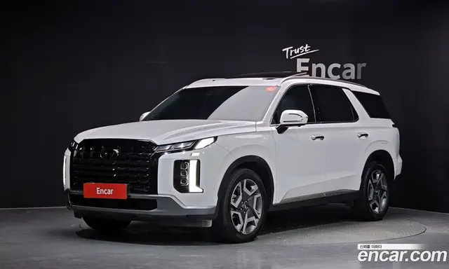 Hyundai Palisade, 2024, 18 327 км