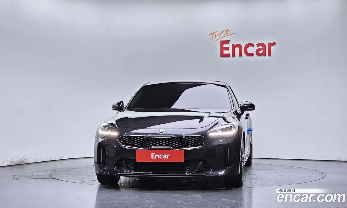 Kia Stinger 2018 2.0 автомат (гидро), фото 3 Kia Stinger 2018 2.0 автомат (гидро), фото 3
