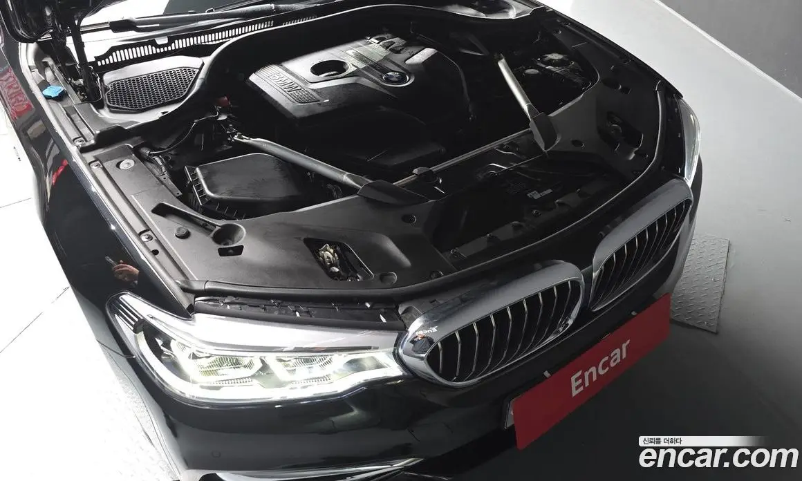 BMW 5 серия 2018 2.0 автомат (гидро), фото 5