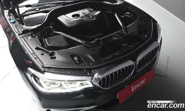 BMW 5 серия 2018 2.0 автомат (гидро), миниатюра 5