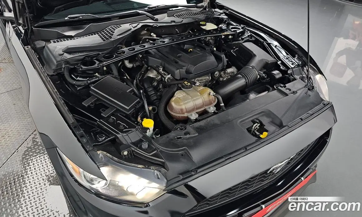 Ford Mustang 2017 2.3 автомат (гидро), фото 5