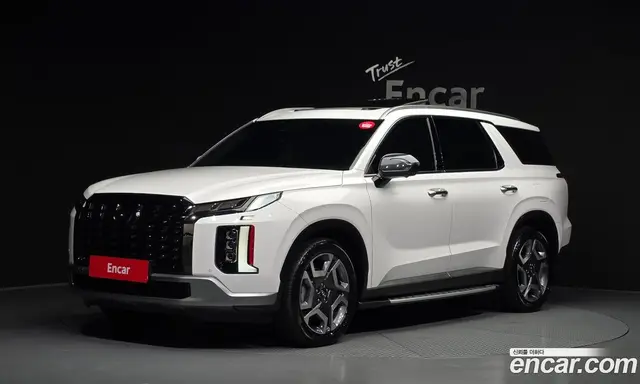 Hyundai Palisade, 2023, 24 209 км