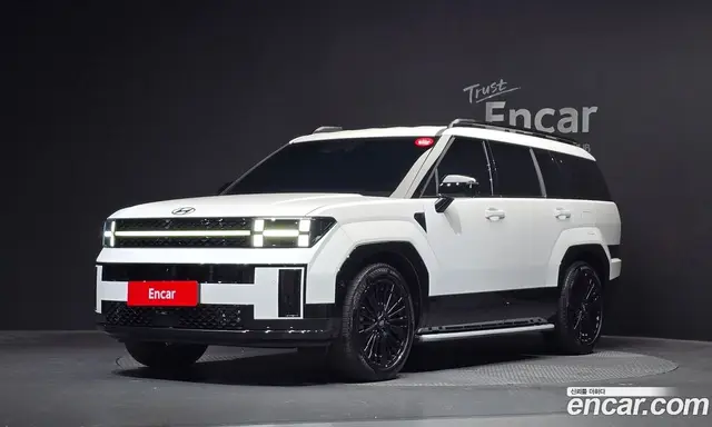Hyundai Santa Fe, 2024, 25 531 км
