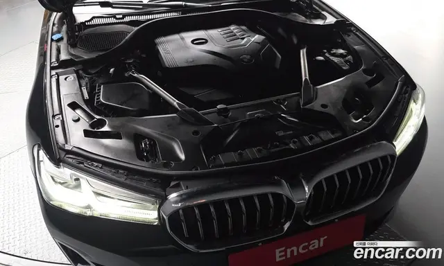 BMW 5 серия 2020 2.0 автомат (гидро), миниатюра 6 BMW 5 серия 2020 2.0 автомат (гидро), миниатюра 6