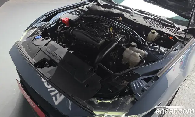 Ford Mustang 2023 2.3 автомат (гидро), миниатюра 6 Ford Mustang 2023 2.3 автомат (гидро), миниатюра 6