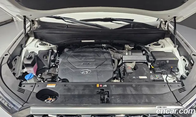 Hyundai Palisade 2021 3.8 автомат (гидро), миниатюра 6