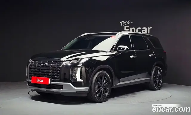 Hyundai Palisade, 2024, 23 166 км