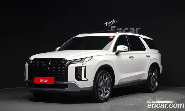 Hyundai Palisade, 2024, 14 228 км