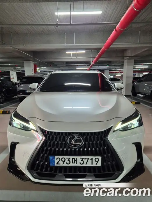 Lexus NX, 2025, 12 200 км