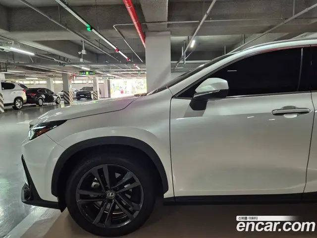 Lexus NX 2025 2.5 автомат (гидро), миниатюра 2