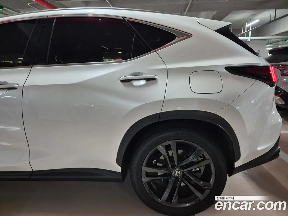 Lexus NX 2025 2.5 автомат (гидро), фото 3