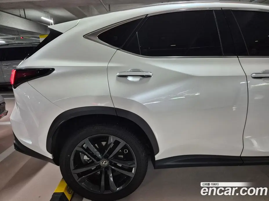 Lexus NX 2025 2.5 автомат (гидро), фото 4