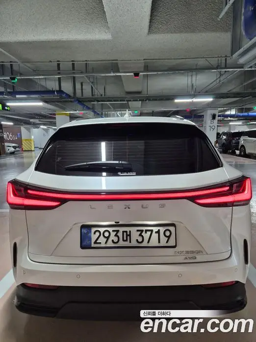 Lexus NX 2025 2.5 автомат (гидро), фото 6