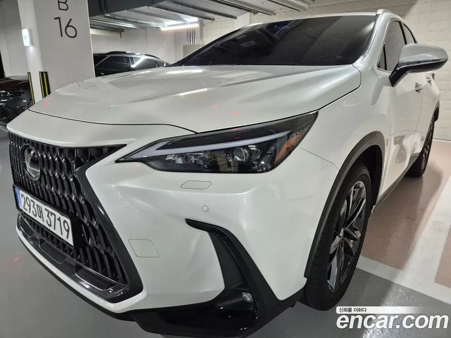 Lexus NX 2025 2.5 автомат (гидро), фото 7