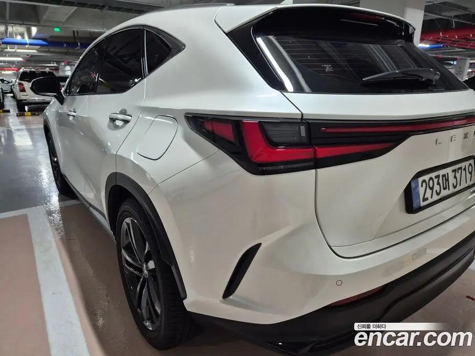 Lexus NX 2025 2.5 автомат (гидро), фото 8
