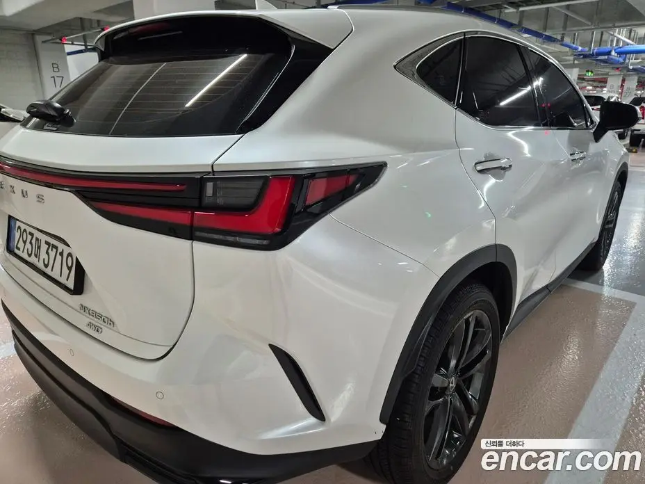 Lexus NX 2025 2.5 автомат (гидро), фото 9