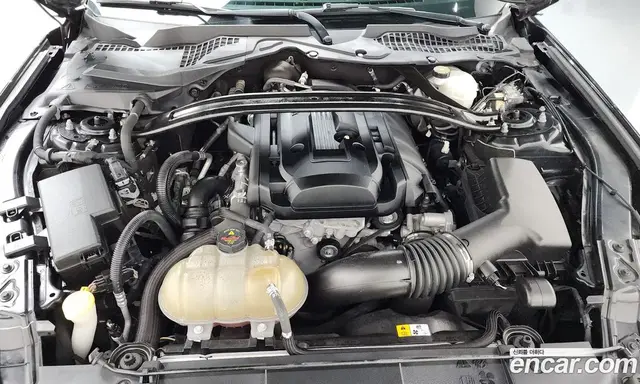 Ford Mustang 2018 2.3 автомат (гидро), миниатюра 5 Ford Mustang 2018 2.3 автомат (гидро), миниатюра 5