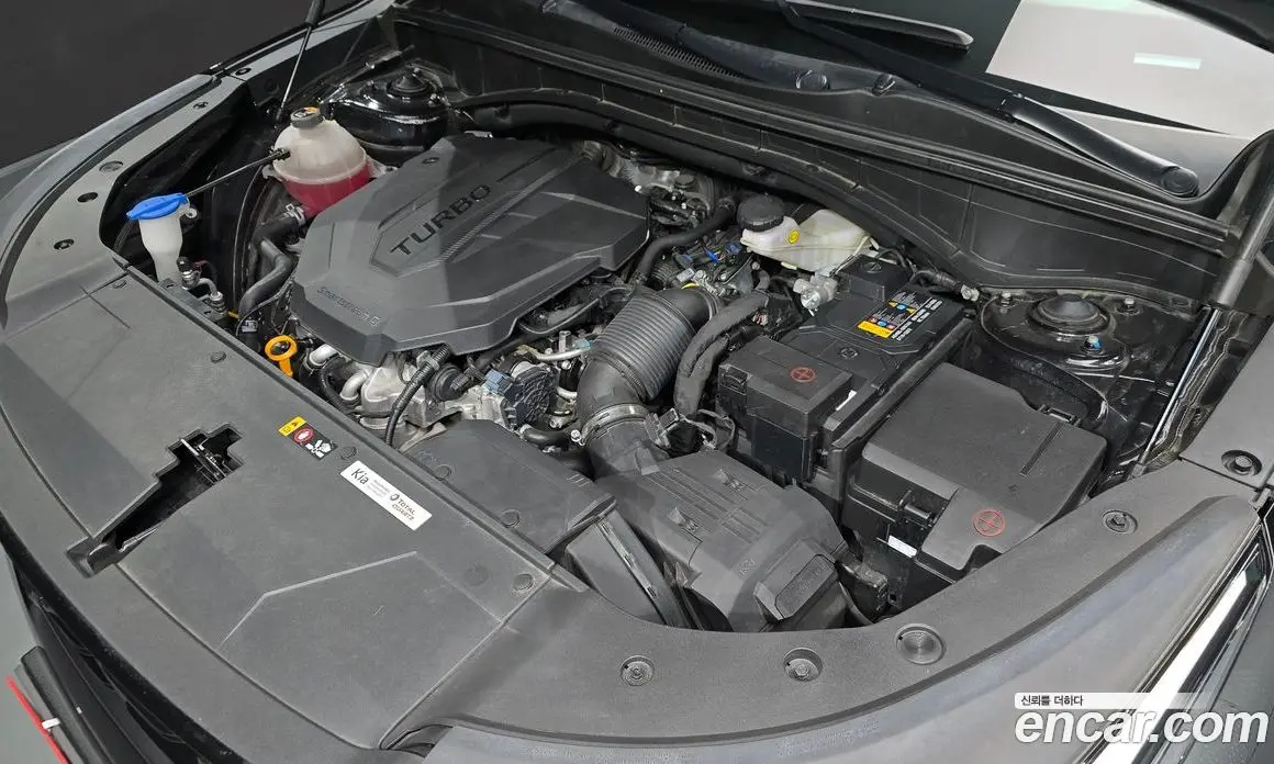 Kia Sorento 2023 2.2 автомат (гидро), фото 5