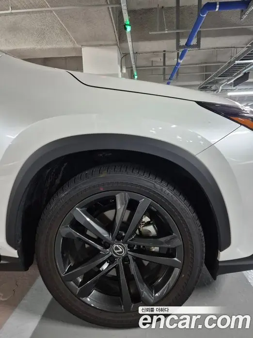 Lexus NX 2025 2.5 автомат (гидро), миниатюра 12