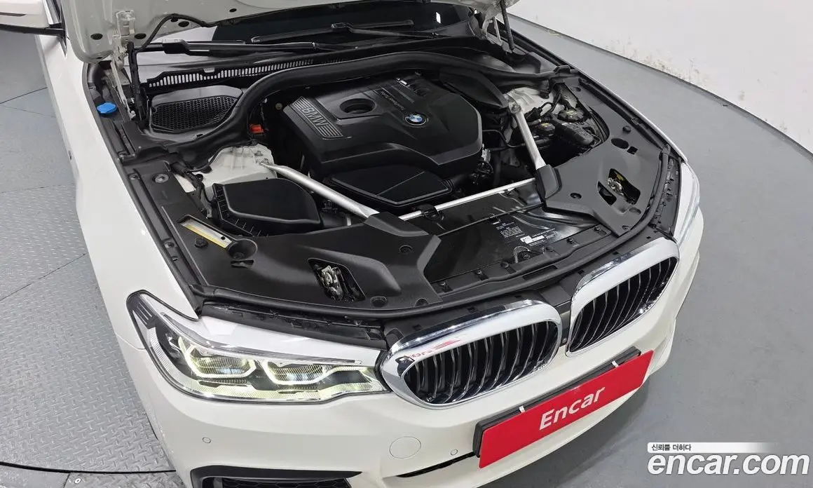 BMW 5 серия 2018 2.0 автомат (гидро), фото 6 BMW 5 серия 2018 2.0 автомат (гидро), фото 6