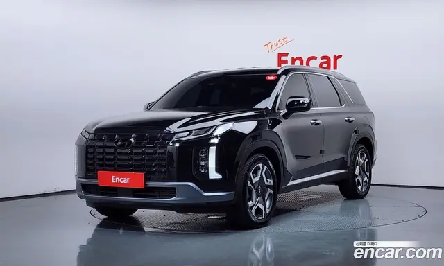 Hyundai Palisade, 2024, 12 319 км