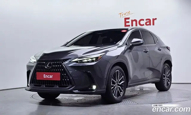Lexus NX 2025 2.5 автомат (гидро), миниатюра 1