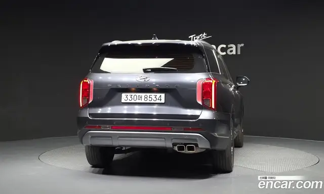 Hyundai Palisade 2022 3.8 автомат (гидро), миниатюра 4