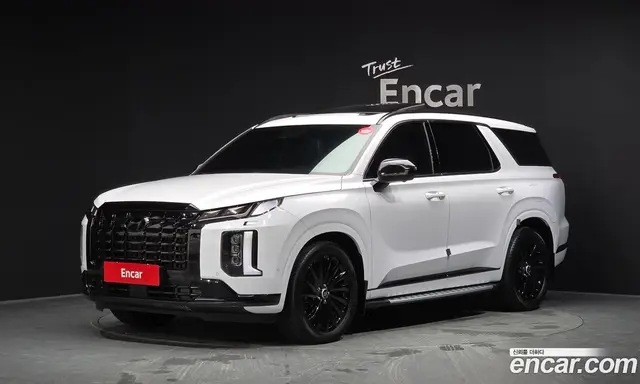 Hyundai Palisade, 2023, 16 760 км