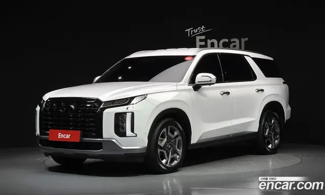 Hyundai Palisade, 2024, 22 204 км