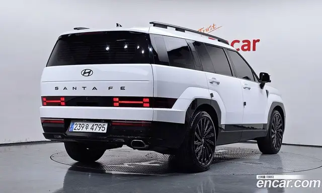 Hyundai Santa Fe 2024 2.5 автомат (гидро), миниатюра 2
