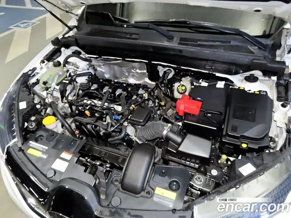 Renault (Samsung) XM3 2020 1.6 автомат (гидро), фото 18