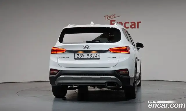 Hyundai Santa Fe 2019 2.0 автомат (гидро), миниатюра 3