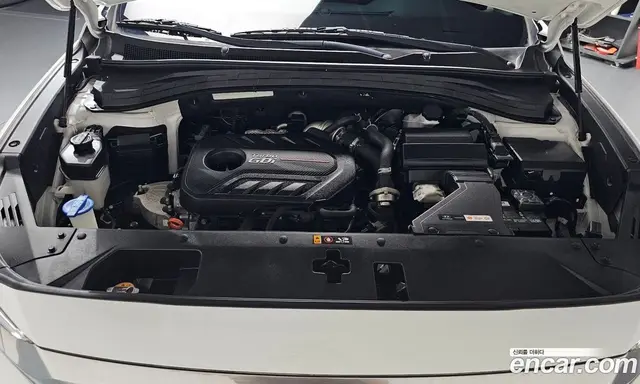 Hyundai Santa Fe 2019 2.0 автомат (гидро), миниатюра 5