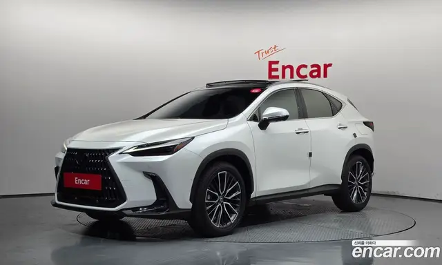Lexus NX, 2024, 12 828 км