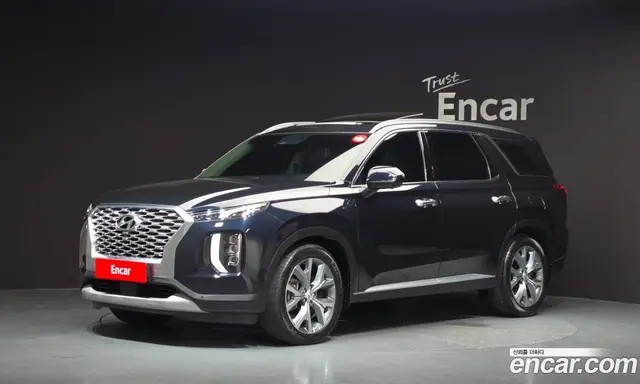 Hyundai Palisade, 2020, 16 800 км