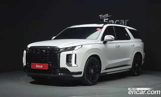 Hyundai Palisade, 2024, 17 804 км
