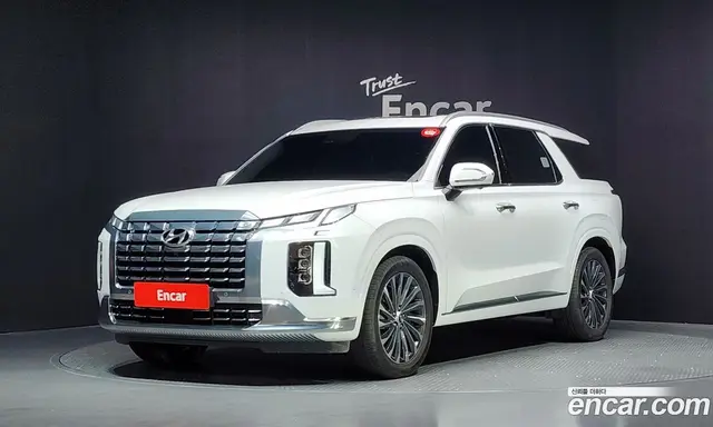 Hyundai Palisade, 2024, 34 794 км