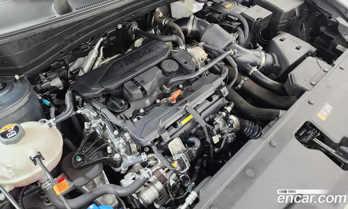 Kia Sportage 2024 1.6 автомат (гидро), фото 6