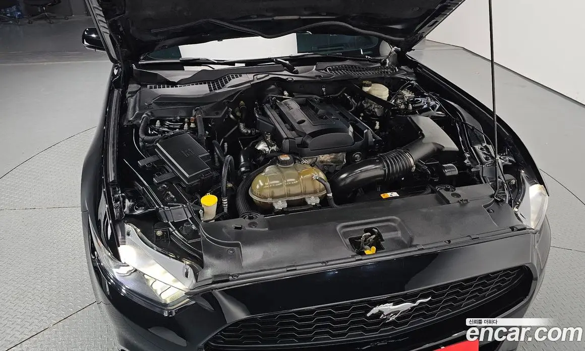 Ford Mustang 2017 2.3 автомат (гидро), фото 6 Ford Mustang 2017 2.3 автомат (гидро), фото 6