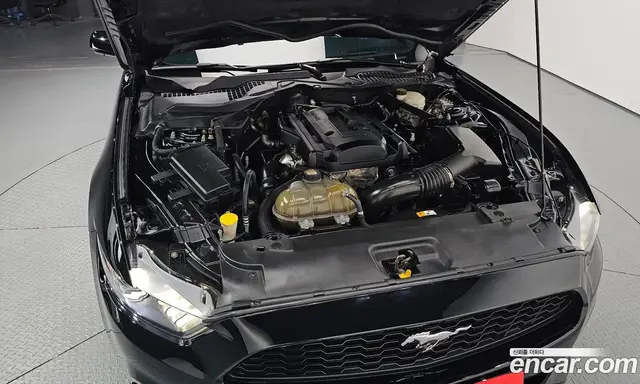 Ford Mustang 2017 2.3 автомат (гидро), миниатюра 6 Ford Mustang 2017 2.3 автомат (гидро), миниатюра 6