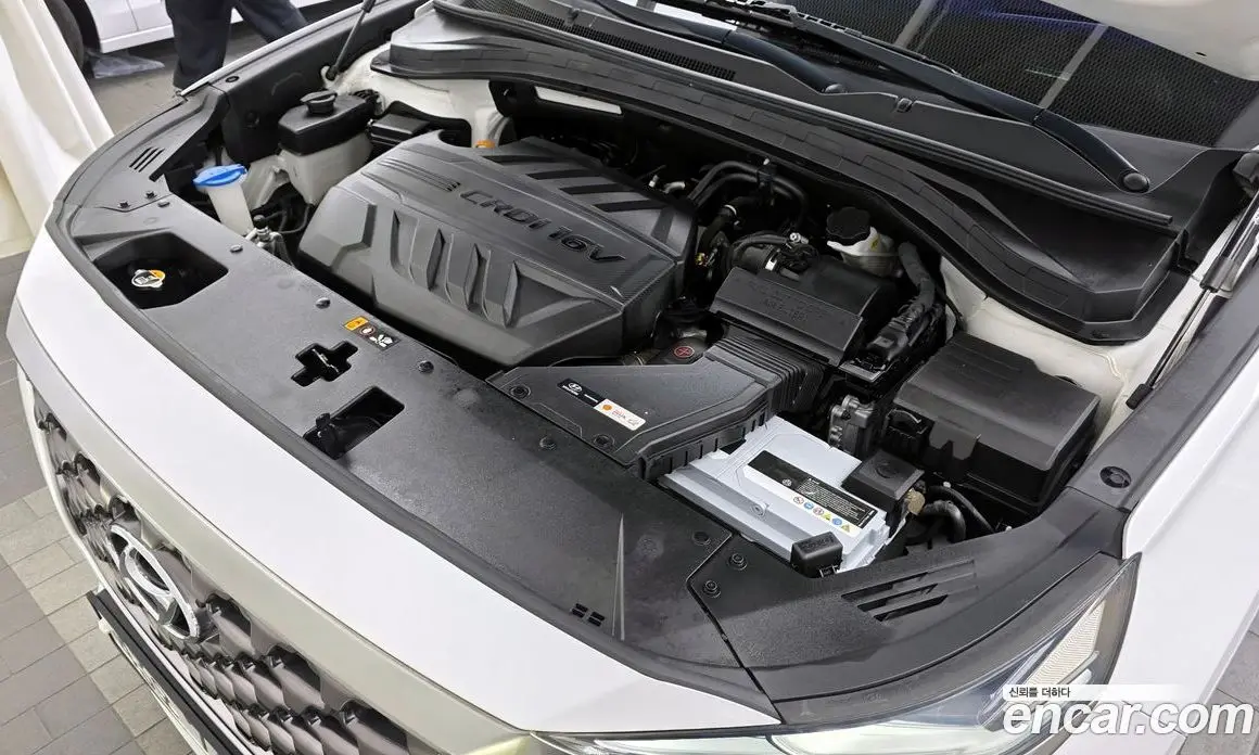 Hyundai Santa Fe 2018 2.0 автомат (гидро), фото 6 Hyundai Santa Fe 2018 2.0 автомат (гидро), фото 6
