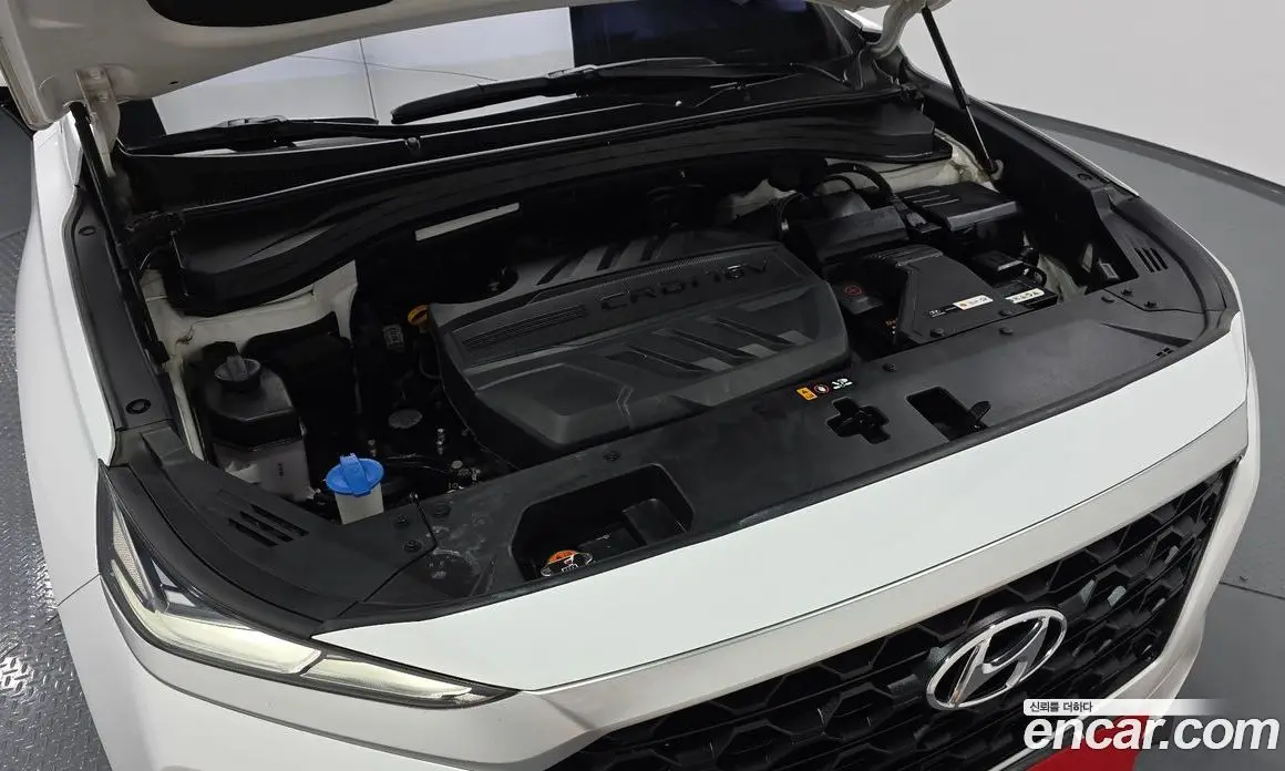 Hyundai Santa Fe 2018 2.0 автомат (гидро), фото 6 Hyundai Santa Fe 2018 2.0 автомат (гидро), фото 6