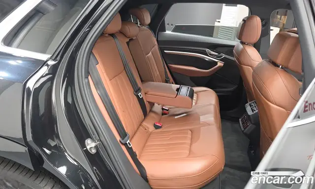 Audi e-tron 2021 0.2 автомат (гидро), миниатюра 11 Audi e-tron 2021 0.2 автомат (гидро), миниатюра 11